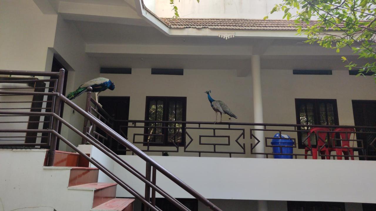 Pebblecoast Beach Resort Kovalam Extérieur photo